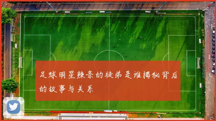 足球明星辣条的徒弟是谁揭秘背后的故事与关系
