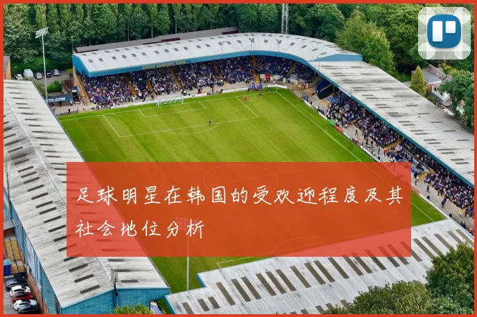 足球明星在韩国的受欢迎程度及其社会地位分析