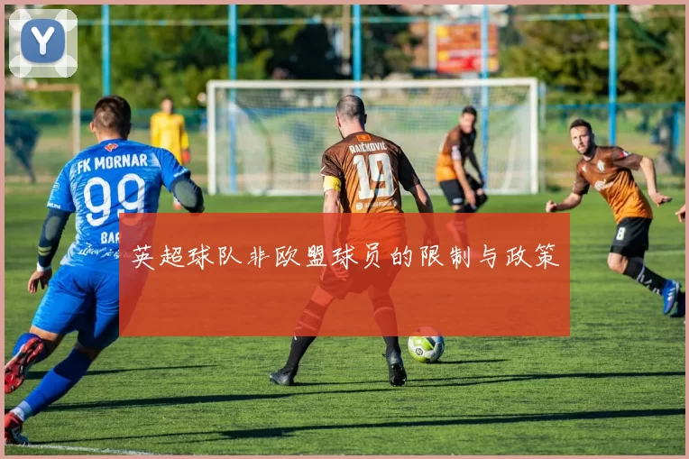 英超球队非欧盟球员的限制与政策