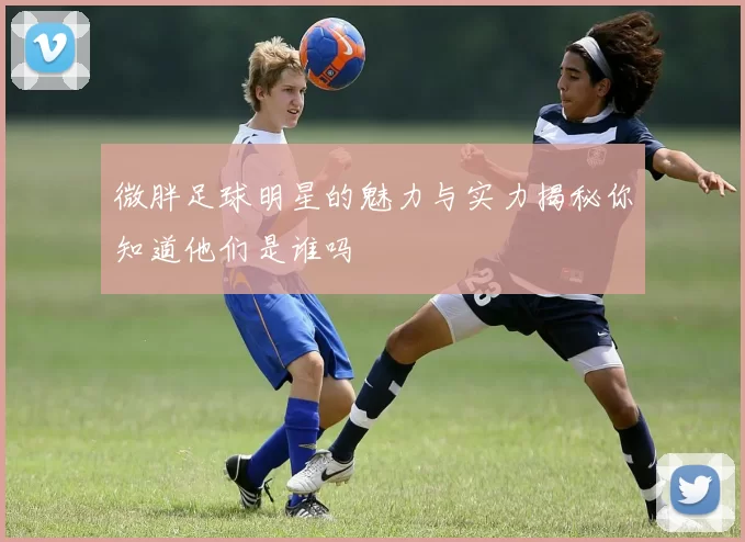 微胖足球明星的魅力与实力揭秘你知道他们是谁吗