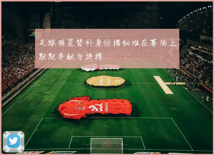 足球明星替补身份揭秘谁在赛场上默默奉献与拼搏