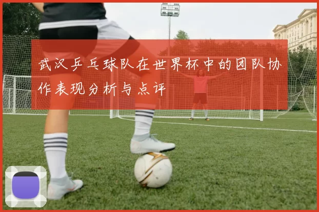 武汉乒乓球队在世界杯中的团队协作表现分析与点评