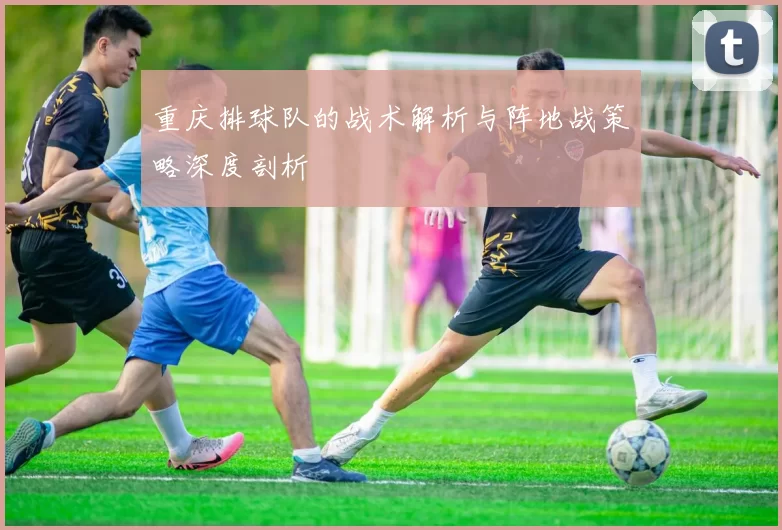 重庆排球队的战术解析与阵地战策略深度剖析