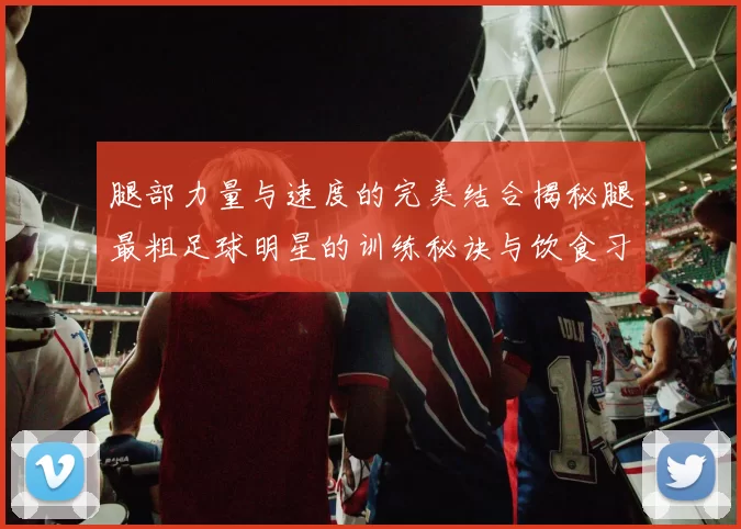 腿部力量与速度的完美结合揭秘腿最粗足球明星的训练秘诀与饮食习惯