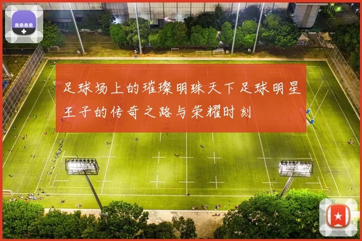 足球场上的璀璨明珠天下足球明星王子的传奇之路与荣耀时刻