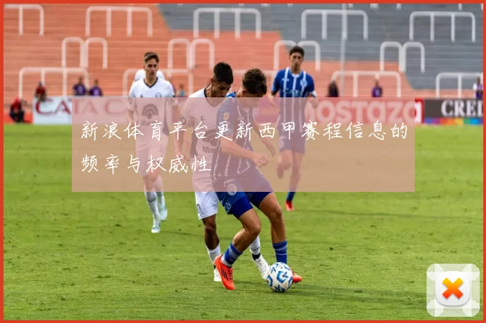 新浪体育平台更新西甲赛程信息的频率与权威性
