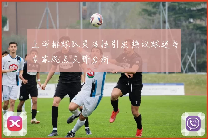 上海排球队灵活性引发热议球迷与专家观点交锋分析