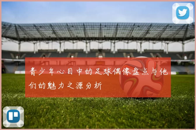 青少年心目中的足球偶像盘点与他们的魅力之源分析