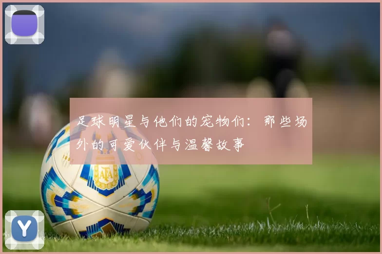 足球明星与他们的宠物们：那些场外的可爱伙伴与温馨故事