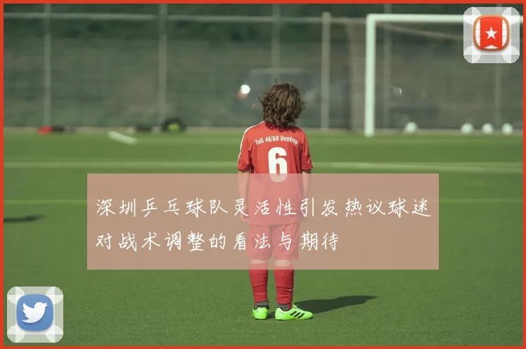 深圳乒乓球队灵活性引发热议球迷对战术调整的看法与期待