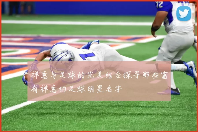 禅意与足球的完美结合探寻那些富有禅意的足球明星名字