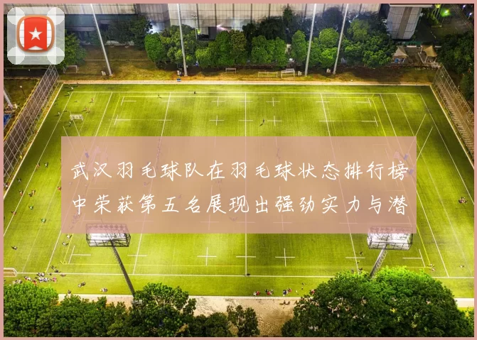 武汉羽毛球队在羽毛球状态排行榜中荣获第五名展现出强劲实力与潜力