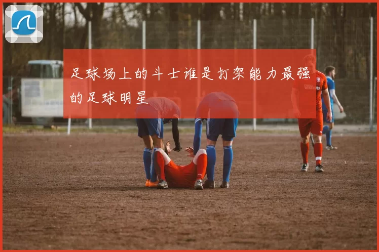 足球场上的斗士谁是打架能力最强的足球明星