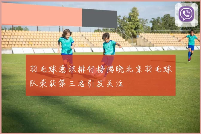 羽毛球意识排行榜揭晓北京羽毛球队荣获第三名引发关注