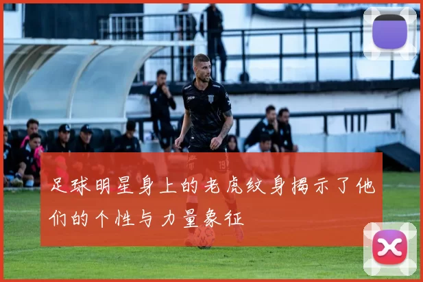足球明星身上的老虎纹身揭示了他们的个性与力量象征