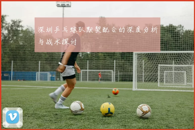 深圳乒乓球队默契配合的深度分析与战术探讨