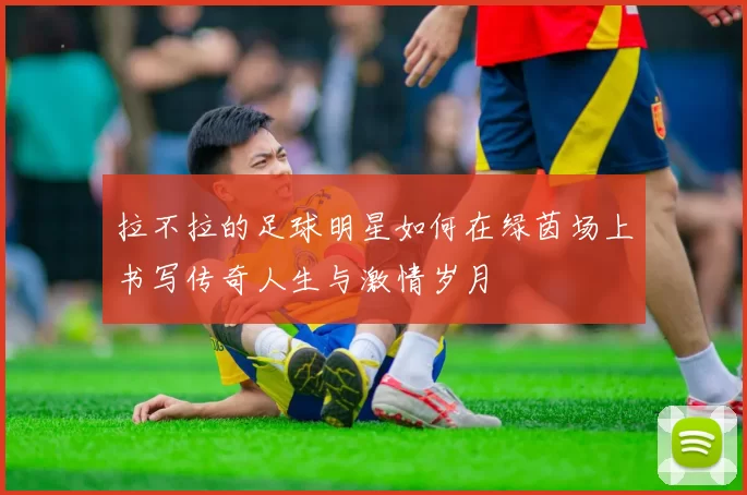 拉不拉的足球明星如何在绿茵场上书写传奇人生与激情岁月