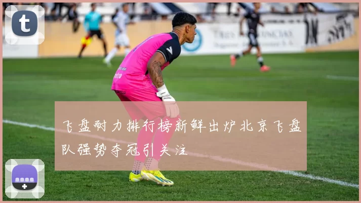 飞盘耐力排行榜新鲜出炉北京飞盘队强势夺冠引关注