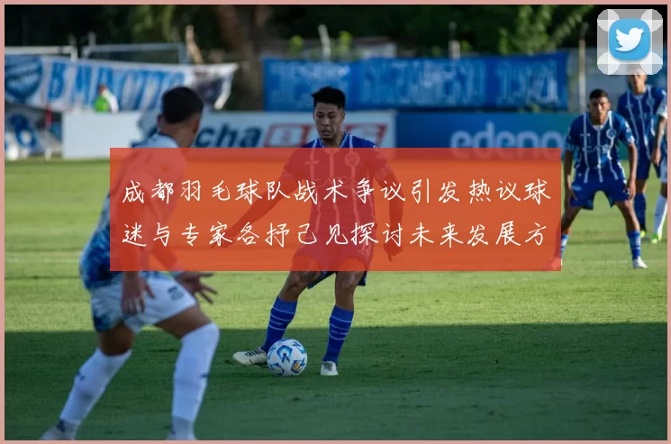 成都羽毛球队战术争议引发热议球迷与专家各抒己见探讨未来发展方向