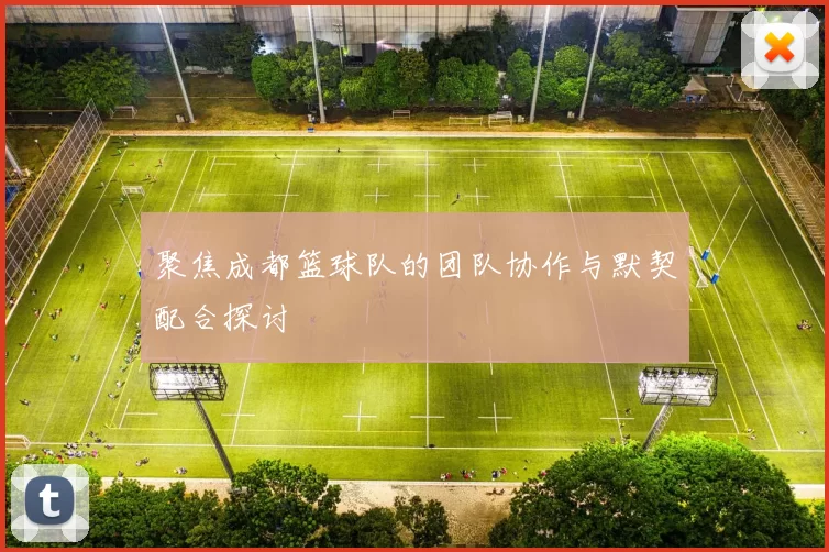 聚焦成都篮球队的团队协作与默契配合探讨