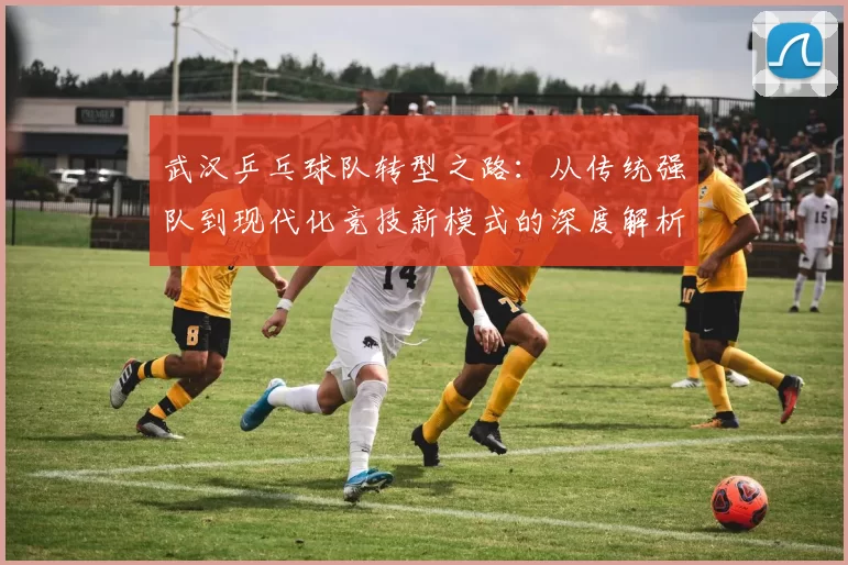 武汉乒乓球队转型之路：从传统强队到现代化竞技新模式的深度解析