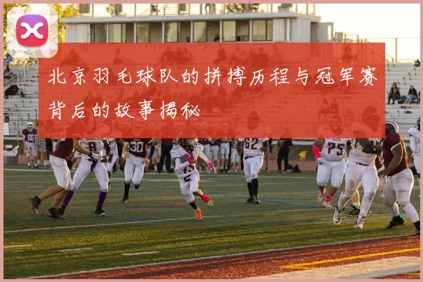 北京羽毛球队的拼搏历程与冠军赛背后的故事揭秘