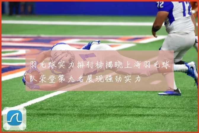 羽毛球实力排行榜揭晓上海羽毛球队荣登第九名展现强劲实力