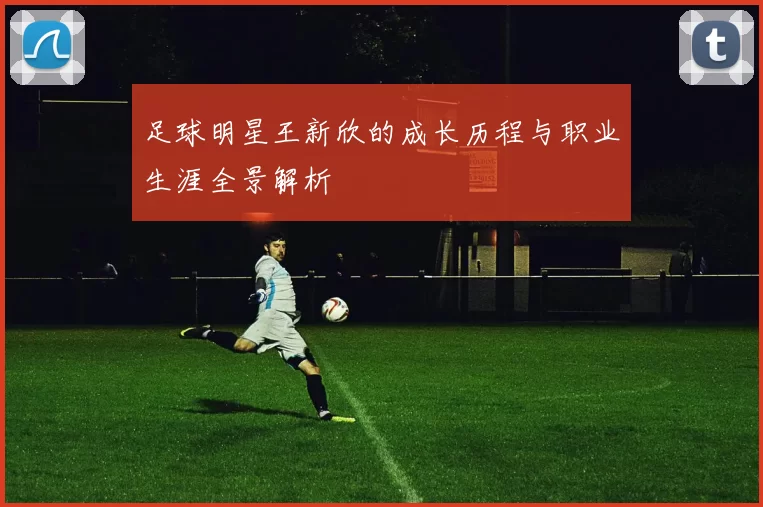 足球明星王新欣的成长历程与职业生涯全景解析