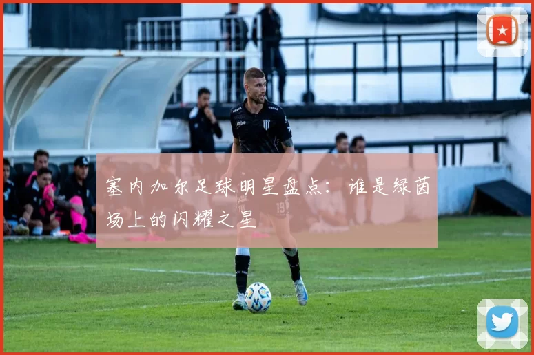 塞内加尔足球明星盘点：谁是绿茵场上的闪耀之星