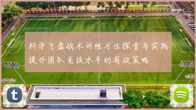 科学飞盘战术训练方法探索与实践提升团队竞技水平的有效策略