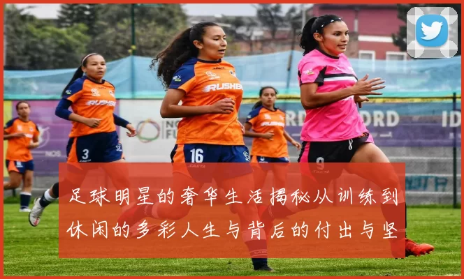 足球明星的奢华生活揭秘从训练到休闲的多彩人生与背后的付出与坚持