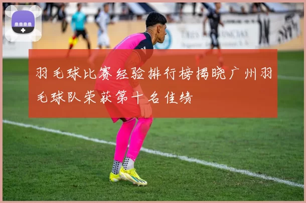 羽毛球比赛经验排行榜揭晓广州羽毛球队荣获第十名佳绩