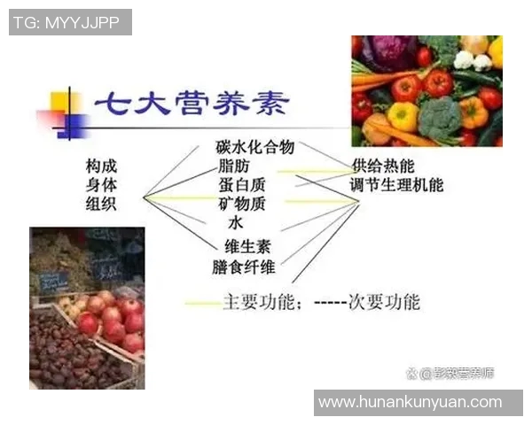 以健康为核心的生活方式：科学饮食、运动与心理平衡的全面指导