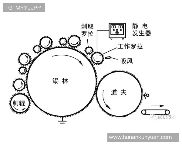 广州飞盘队的耐力研究与训练方法探讨及其对比赛表现的影响分析