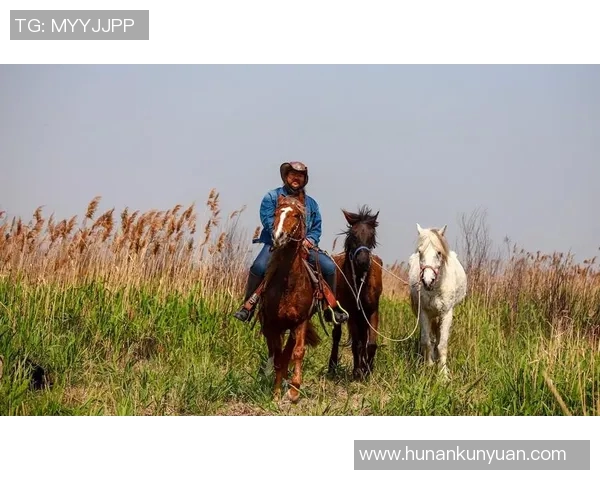 攀岩爱好者必看陈军分享独特攀岩技巧与心得体会 攀岩爱好者必看陈军分享独特攀岩技巧与心得体会